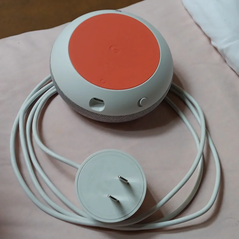 google have home